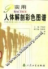 实用人体解剖彩色图谱