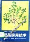 野菜实用技术