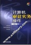 计算机审计实务操作