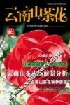 云南山茶花