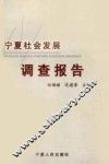宁夏社会发展调查报告