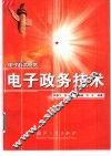 电子政务技术