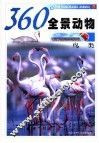 360°全景动物  鸟类