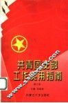 共青团支部工作实用指南  修订版
