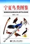 宁夏鸟类图鉴