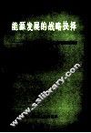 能源发展的战略抉择  关于中国能源发展战略问题的报告