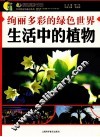 绚丽多彩的绿色世界  生活中的植物