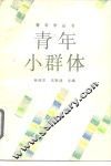 青年小群体