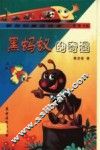 黑蚂蚁的奇遇