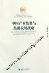 中国产业集聚与集群发展战略