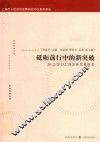 砥砺前行中的新突破  2012-2013上海区县发展报告