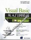 Visual Basic从入门到精通