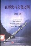 在历史与文化之间