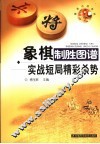 象棋制胜图谱  实战短局精彩杀势