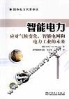 智能电力  应对气候变化智能电网和电力工业的未来
