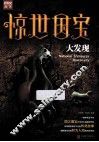 惊世国宝大发现