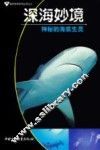 深海妙境  神秘的海底生灵