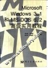 Microsoft Windows 3.1和MS-DOS6.2高级实用教程