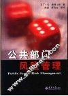 公共部门风险管理