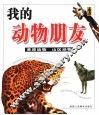 我的动物朋友  草原动物  山区动物