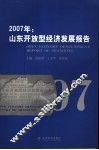 山东开放型经济发展报告  2007年