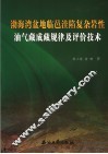 渤海湾盆地临邑洼陷复杂岩性油气藏成藏规律及评价技术