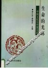 生命的光环  中国文化与中国文论