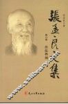 张孟良文集  第6卷  洼淀烽烟