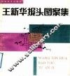王新华报头图案集