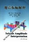 地震振幅解释