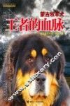 王者的血脉  蒙古牧羊犬