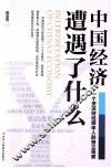 中国经济遭遇了什么  一个资深财经媒体人的独立观察