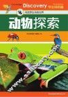 动物探索
