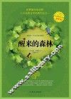醒来的森林