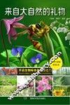 来自大自然的礼物