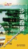 塞上江南神奇宁夏丛书  沙湖奇景