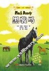 黑骏马