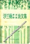 沙兰杨学术会议论文集