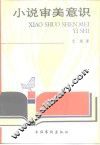 小说审美意识