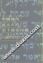 中国境内犹太人的若干历史问题——开封的中国犹太人 PDF电子版-无忧找书网-第4张图片