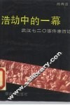 浩劫中的一幕  武汉七二○事件亲历记