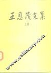 王恩茂文集  上