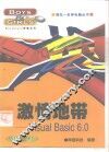 激情地带 Visual Basic 6.0