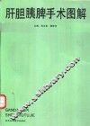 肝胆脾胰手术图解