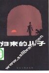 归来的儿子  短篇小说集