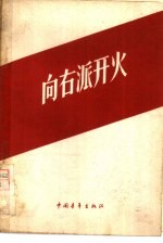 《向右派开火》pdf电子版-Ebook.cx 文史文献学习资料代寻网-第3张图片