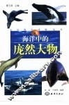 海洋中的庞然大物