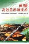黄鳝高效益养殖技术