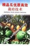 精品瓜优质高效栽培技术