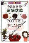 家庭盆栽